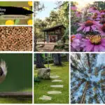 projecten_magischekamer_asten-someren2