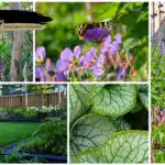 projecten_magischekamer_asten-someren6