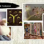 projecten_magischekamer_asten-someren8