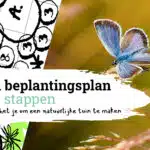 beplantingsplan maken 5-stappenplan