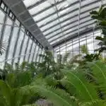 orangery-1214367_640
