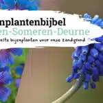 bijenplantenbijbel asten-someren-deurne
