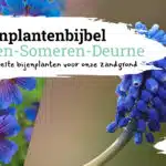 bijenplantenbijbel asten-someren-deurne