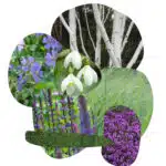 magische zeven_border_paars-wit
