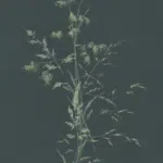 behang_eiffinger_watergrond 200906_280 h x140 b