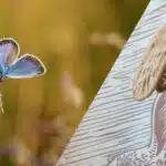 Binnen-en buitenontwerp voor doe-het-zelvers