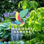 magische kamers asten heusden someren