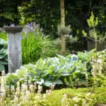 beplantingsplan bostuin